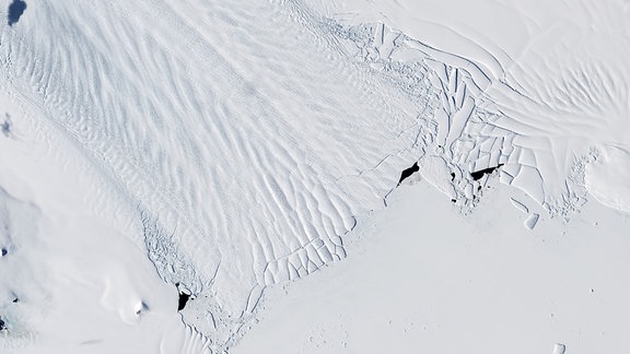 Das Landsat-8-Bild zeigt das zerklüftete Ende des schnell fließenden Pine-Island-Gletschers im Amundsen-Sektor, vor dessen Küste Meereis und Eisberge liegen.
