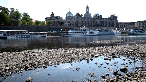 Niedrigwasser Der Elbe Bremst Weiße Flotte Aus | MDR.DE