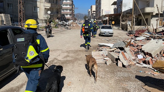 Mehrere Einsatzkräfte in THW-Kleidung laufen mit Suchhunden durch eine Straße, die von Trümmern von bei einem Erdbeben eingestürzten Häusern gesäumt ist.