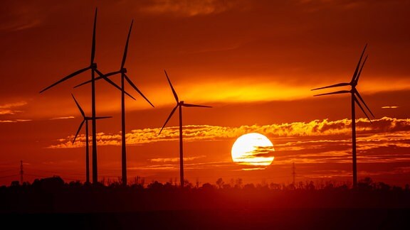 Windräder stehen vor der untergehen Sonne 
