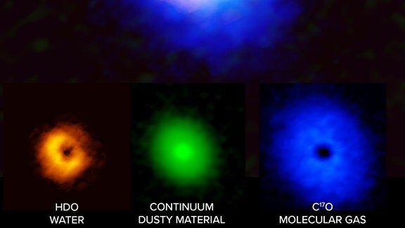 ALMA-Bilder der Scheibe um den Stern V883 Orionis, die die räumliche Verteilung von Wasser (links, orange), Staub (Mitte, grün) und Kohlenmonoxid (blau, rechts) zeigen. Da Wasser bei höheren Temperaturen als Kohlenmonoxid ausfriert, kann es in gasförmiger Form nur in der Nähe des Sterns nachgewiesen werden. Die scheinbare Lücke in den Bildern von Wasser und Kohlenmonoxid ist auf die helle Emission des Staubs zurückzuführen, der die Strahlung des Gases abschwächt.