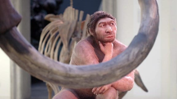 Nachbildung eines Urmenschen in einem Museum