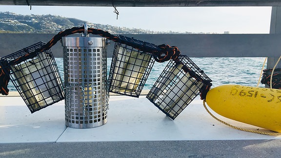 Käfige mit Plastikteilen, die im Meer ausgesetzt wurden: So untersuchten die Forschenden, wie gut die Kunfstoffe in der Natur abgebaut werden können.