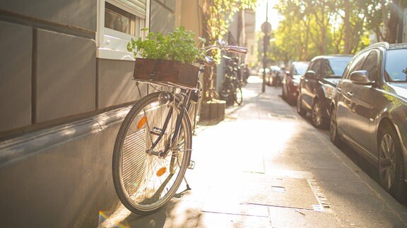 Fahrrad steht auf Gehweg in Stadtviertel mit Kiste auf Frontgepäckträger die Grünpfklanzen oder Kräuter enthält. Viele geparkte Autos imn Straße, unscharfer Hintergrund mit Bildflucht nach hinten, sommerliche Stimmung mit warmen Licht. 