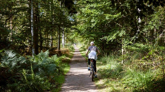 Eine junge Frau fährt mit einem Fahrrad auf einem Waldweg