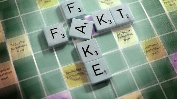 Buchstaben bilden die Wörter Fakt und Fake