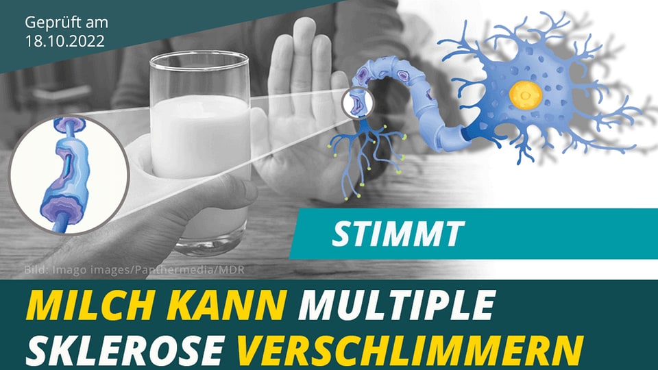 ️ Stimmt: Milch kann Multiple Sklerose verschlimmern | MDR.DE