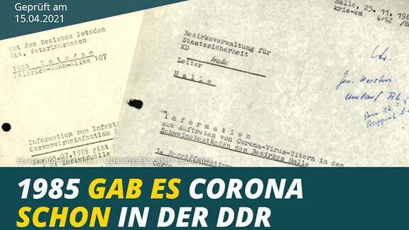 Corona DDR