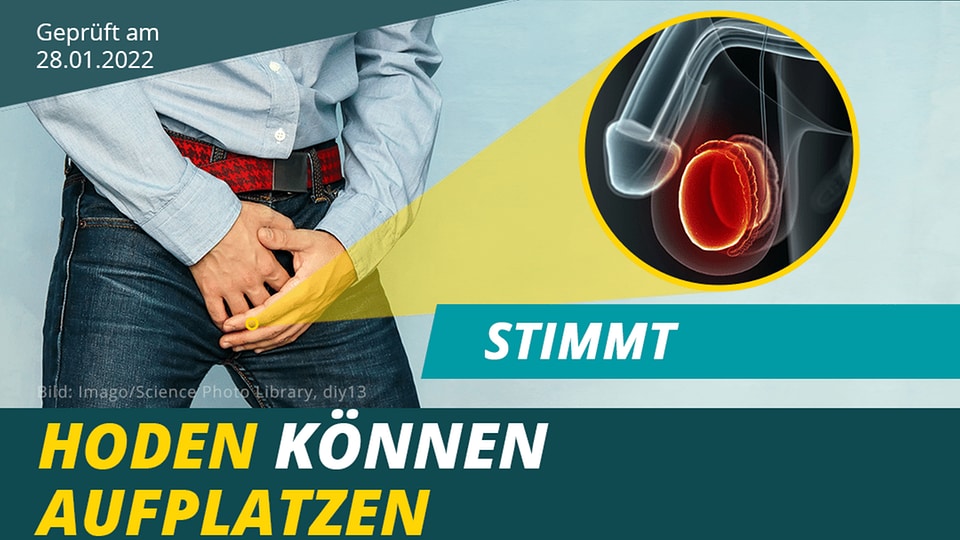 ️ Stimmt Hoden können aufplatzen MDR.DE