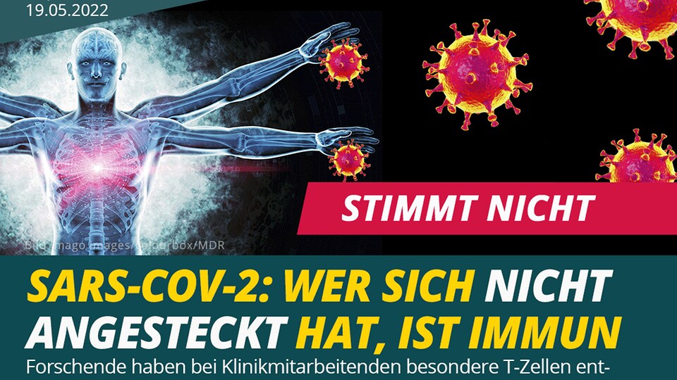 Stimmt Nicht: SARS-Cov-2: Wer Sich Nicht Angesteckt Hat, Ist Immun | MDR.DE