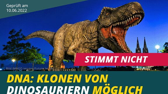 Ein Dinosaurier, darunter Schrift