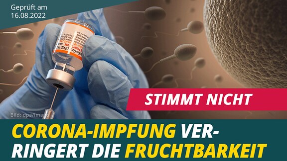 Corona: Pro Und Kontra Impfung – Was Forscher Empfehlen, Bevor Die ...