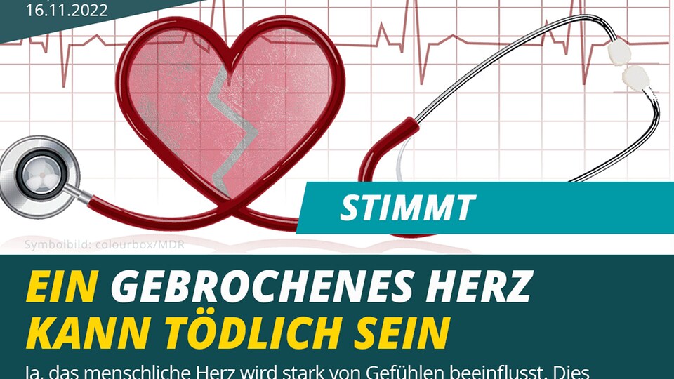 ️ Stimmt Ein gebrochenes Herz kann tödlich sein MDR.DE