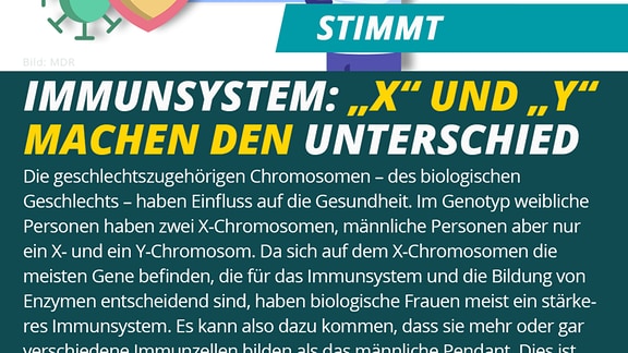 Tafel zu Faktencheck: "Immunsystem: X und Y machen den Unterschied
