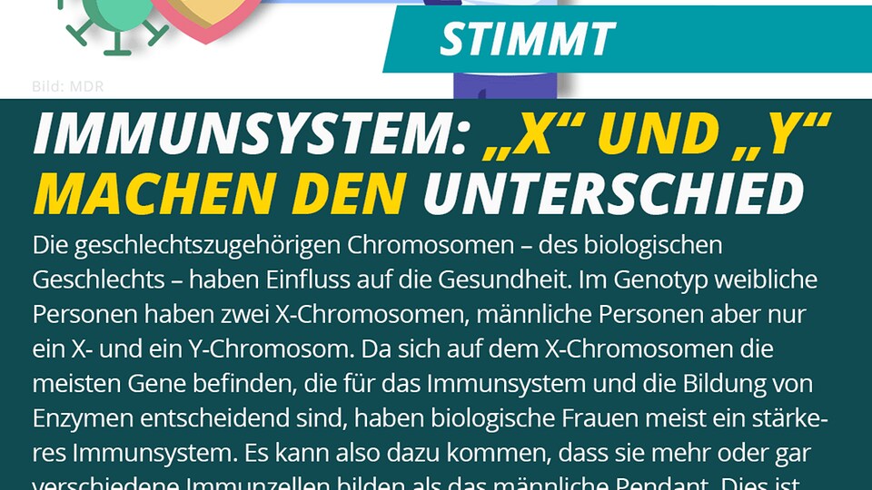 ️ Stimmt: Immunsystem: "X" Und "Y" Machen Den Unterschied | MDR.DE