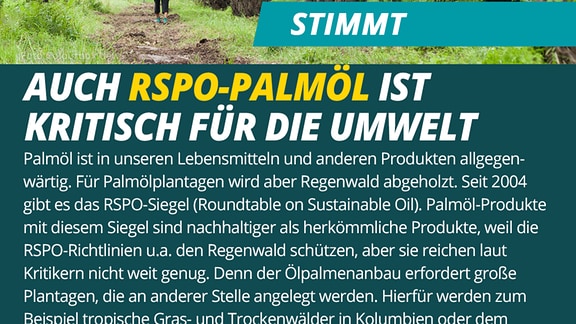 Tafel zu Faktencheck: "Auch RSPO-Palmöl ist kritisch für die Umwelt."