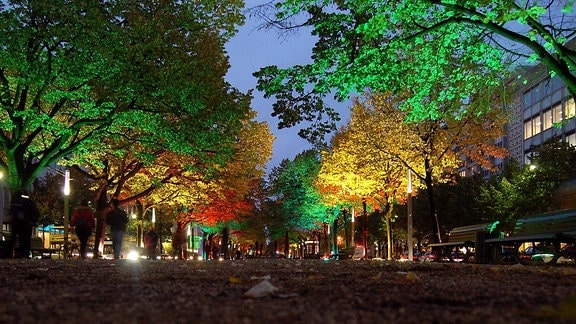 Beleuchtete Bäume beim Festival of Lights 2009 in Berlin, Unter den Linden.