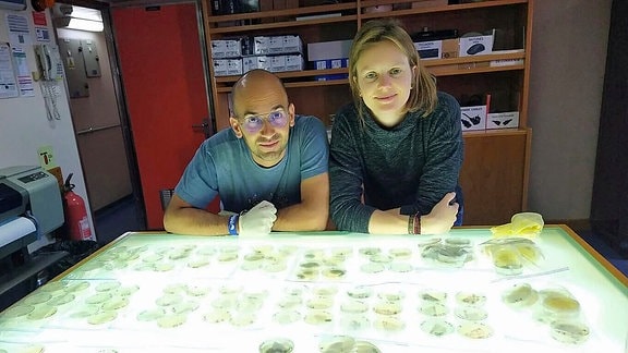 Ozeanograf Federico Baltar und Kollegin Eva Breyer im Labor. Hier werden Kulturen der Mikroben angezüchtet und weiter untersucht.