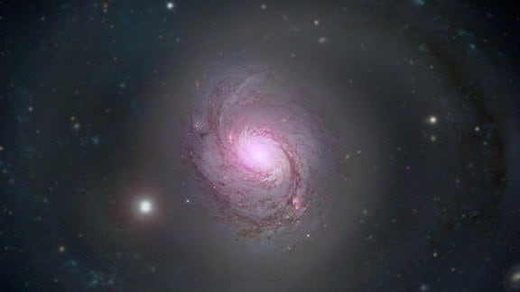 Die Galaxie NGC 1068 ist in diesem zusammengesetzten Bild im sichtbaren Licht und im Röntgenlicht zu sehen. Hochenergetische Röntgenstrahlen (magenta), die vom Nuclear Spectroscopic Telescope Array (NuSTAR) der NASA aufgenommen wurden, überlagern sich mit Bildern im sichtbaren Licht, die sowohl vom Hubble Space Telescope der NASA als auch vom Sloan Digital Sky Survey stammen.