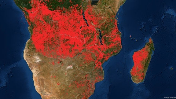 Feuerausbrüche in Afrika in der Zeit vom 11.8. bis 17.8.2021