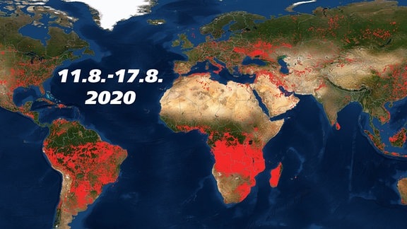Feuerausbrüche weltweit vom 11.8. bis 17.8.2020