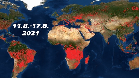 Feuerausbrüche weltweit vom 11.8. bis 17.8.2021