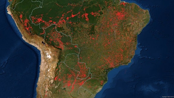 Feuerausbrüche in Südamerika in der Zeit vom 11.8. bis 17.8.2021