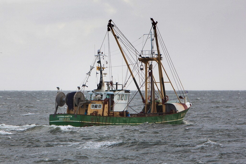 Thunfisch Bald Normaler Fischfang In Der Nordsee Mdr De
