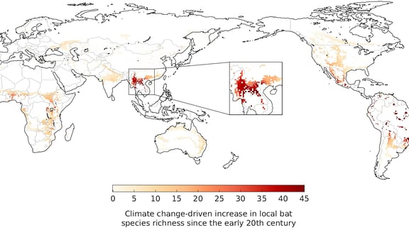 Die Grafik zeigt die geschätze Zunahme von Fledermausarten in bestimmten Gebieten aufgrund von Verschiebungen ihrer Habitate durch Klimaveränderungen seit 1901. Der vergrößerte Bereich stellt das wahrscheinliche Verbreitungsgebiet des von Fledermäusen übertragenen Erregers von SARS-CoV-2 dar.
