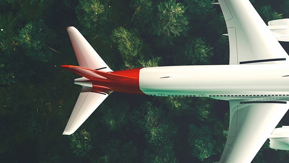 Ansicht von oben: Heck, Flügel und Triebwerke eines kommerziellen mit Flugzegus (weiß mit roten Streifen) über grünem Nadelwald. Flugzeug ist 3D-Modell.