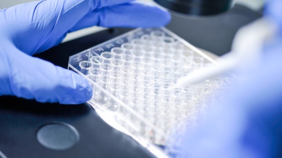 Wissenschaftler beim Forschen in einem Labor