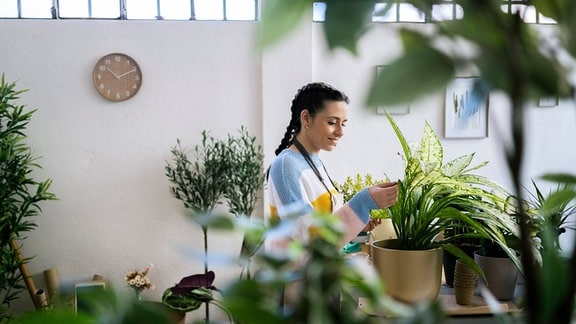Eine Frau mit Zimmerpflanzen