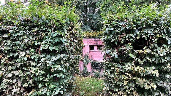 Hecke auf einem Friedhof