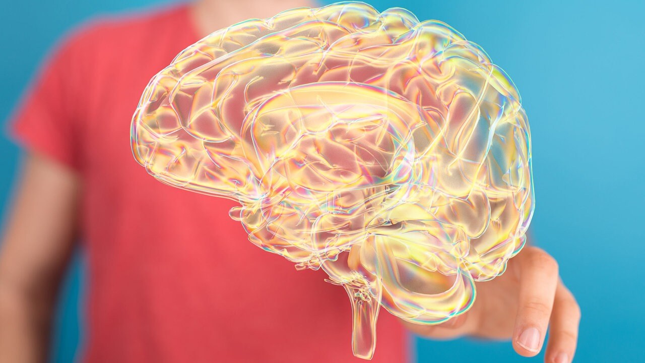 Modvigil preis deutschland