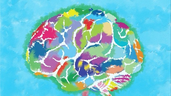  Das Bild zeigt die Plazenta im Boden, die den Gehirn-Baum mit Serotonin versorgt und dem Gehirn so beim Wachstum hilft