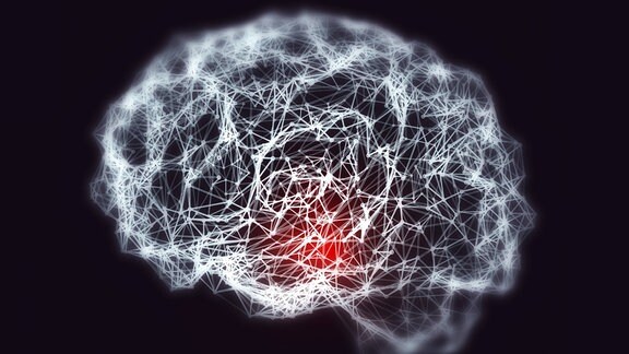 Gehirn, neuronales Netzwerk