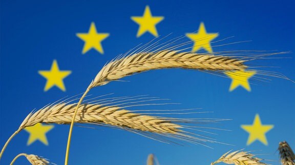 Symbolbild zum Thema Getreideproduktion, Landwirtschaft, Ernährungssicherheit in Europa