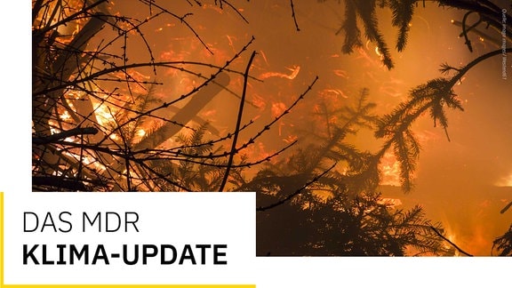 Die Zahl der Waldbrände, wie hier in der Nähe des thüringischen Heilbad Heiligenstadt, könnte in Zukunft durch den Klimawandel weiter zunehmen.