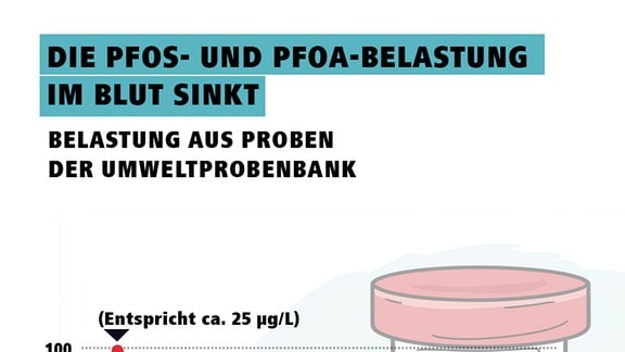 Grafik Sinkende PFOS und PFOA-Belastung im Blut von den 80er bis 2020