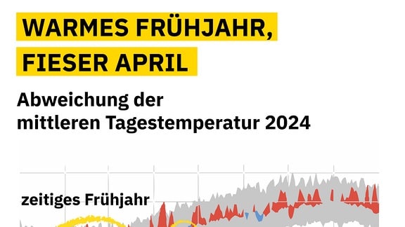 Grafik zeigt Abweichung der mittleren Tagestemperatur Januar bis August 2024, dahinter Bereich maximale Tagesmitteltemperatur und minimale Tagesmitteltemperatur, deutlich zu warme Abweichung Februar bis Apri, Einbruch in deutlich zu kalt im April