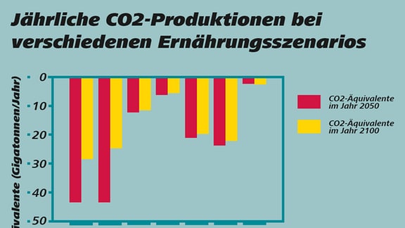 Die Säulen zeigen die anhaltende Reduzierung der CO2-Äquivalente bei verschiedenen Szenarios der verringerten Tierhaltung, jeweils bis 2050 und 2100.