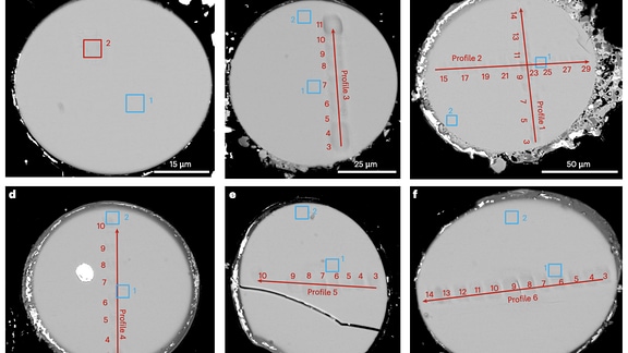 Repräsentative Rückstreuelektronenbilder von CE5 Impakt-Glasperlen nach nanoSIMS-Analysen.