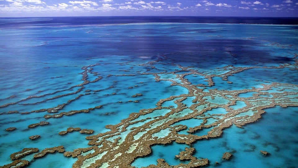 Great Barrier Reef Früher Heute : Great Barrier Reef Ist Das Riff In ...