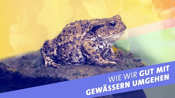 Wie wir gut mit Gewässern umgehen