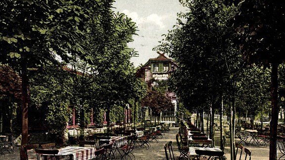 Historische Postkarte, Tischreihen mit Stühlen zwischen Bäumen
