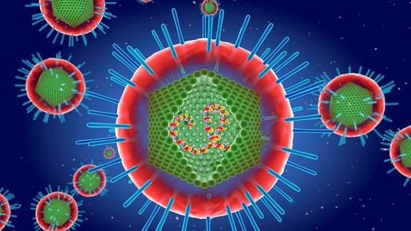 Illustrative Darstellung des HTLV-1-Virus: Farbige Kreise mit Spitzen und einer Art DNA-Strang im inneren