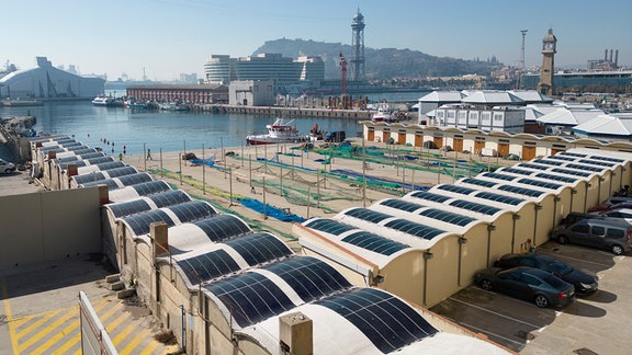 Aufsicht auf Solarmodul-Folien, die auf gewölbten Dächern von drei Lagerhäusern auf einem Hafengelände angebracht sind.