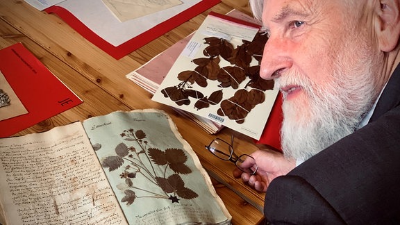 Mann mit weißem Bart über altes Buch gebeugt und zur Seite blickend, mit getrockneten Pflanzen