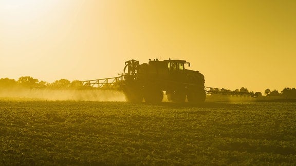 Traktor fährt über ein Feld und spritzt Herbizide. Idyllische Stimmung mit warmen Licht, Seitenansicht.