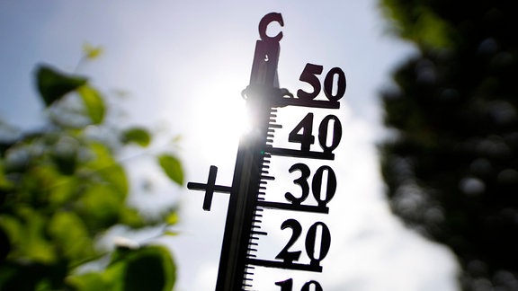 Thermometer
